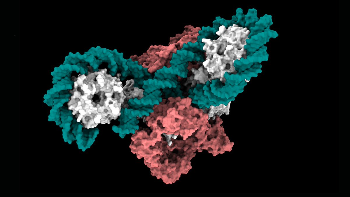 Durham University (@durham_uni) on Twitter photo New research <a href="/DurBiol/">Durham BioSciences</a> <a href="/JohnInnesCentre/">John Innes Centre</a> <a href="/JagiellonskiUni/">Uniwersytet Jagielloński</a> reveals how new imaging of bacterial DNA may pave the way for designing future #antibiotics 🧬💊 #DUResearch
👉 brnw.ch/21wP2Yv
<a href="/CPBM_heddlelab/">Centre for Programmable Biological Matter</a> New research <a href="/DurBiol/">Durham BioSciences</a> <a href="/JohnInnesCentre/">John Innes Centre</a> <a href="/JagiellonskiUni/">Uniwersytet Jagielloński</a> reveals how new imaging of bacterial DNA may pave the way for designing future #antibiotics 🧬💊 #DUResearch
👉 brnw.ch/21wP2Yv
<a href="/CPBM_heddlelab/">Centre for Programmable Biological Matter</a>