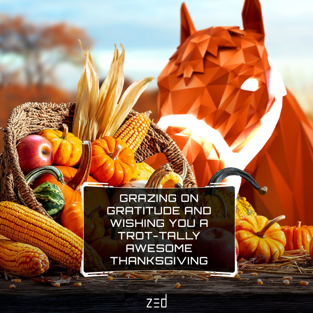 This Thanksgiving, we want to take a moment to wish you and your families a safe and happy holiday!