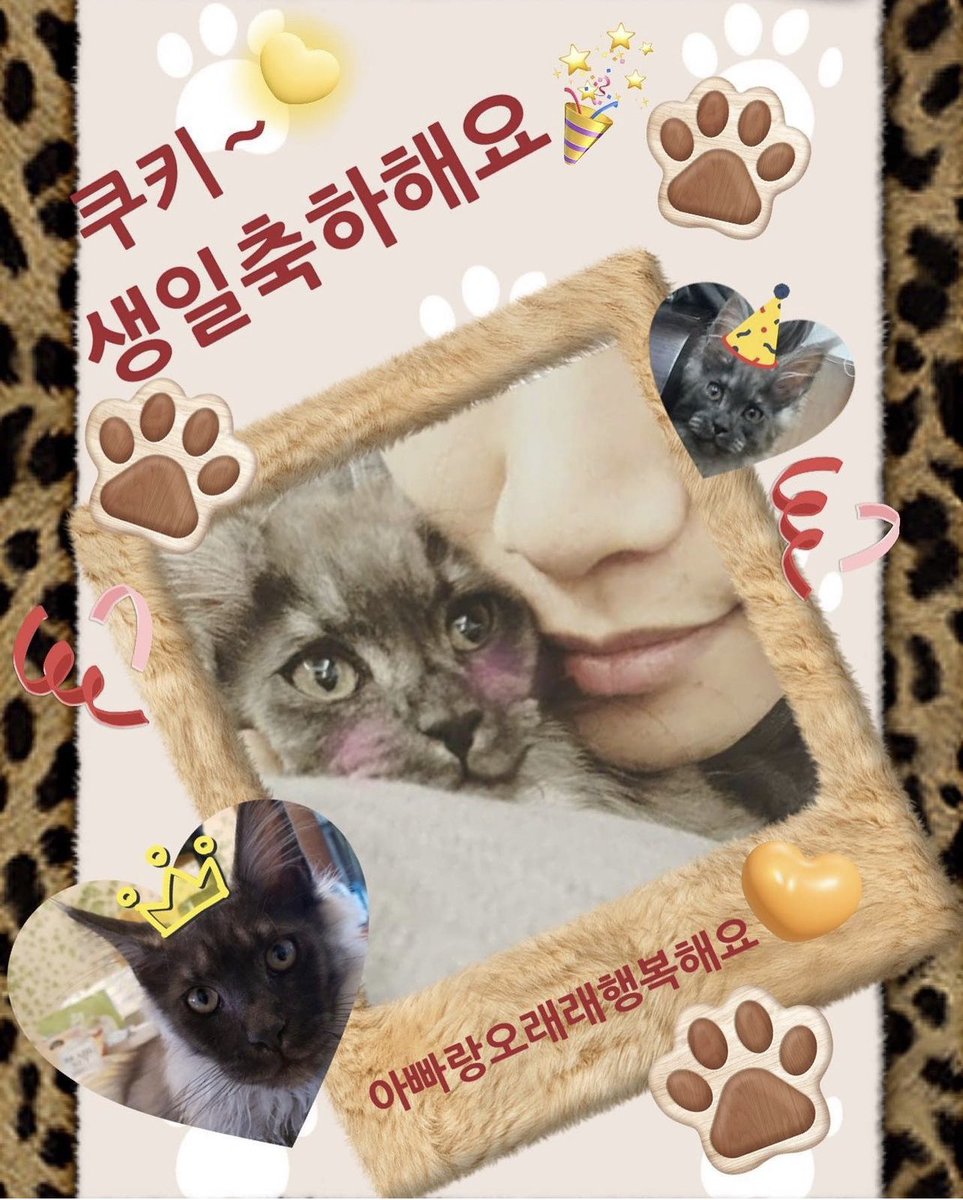 チングちゃんのpostで気がついた…
く〜chan🐈‍⬛ミアネ〜
お誕生日おめでとう〜🎂🎊🎉

これからも元気でいつまでもパパのそばにいてあげてね💛