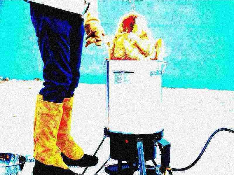 DeepFried_sol's tweet photo. Happy Thanksgiving all! Who is deep frying their Turkey today??

$DFT is bound to bond on @RaydiumProtocol today!

CA: 6LJxVRAMn2brUiavdz39ycJpqJonguzQvp3pBsyppump https://t.co/rBBmLErZZx