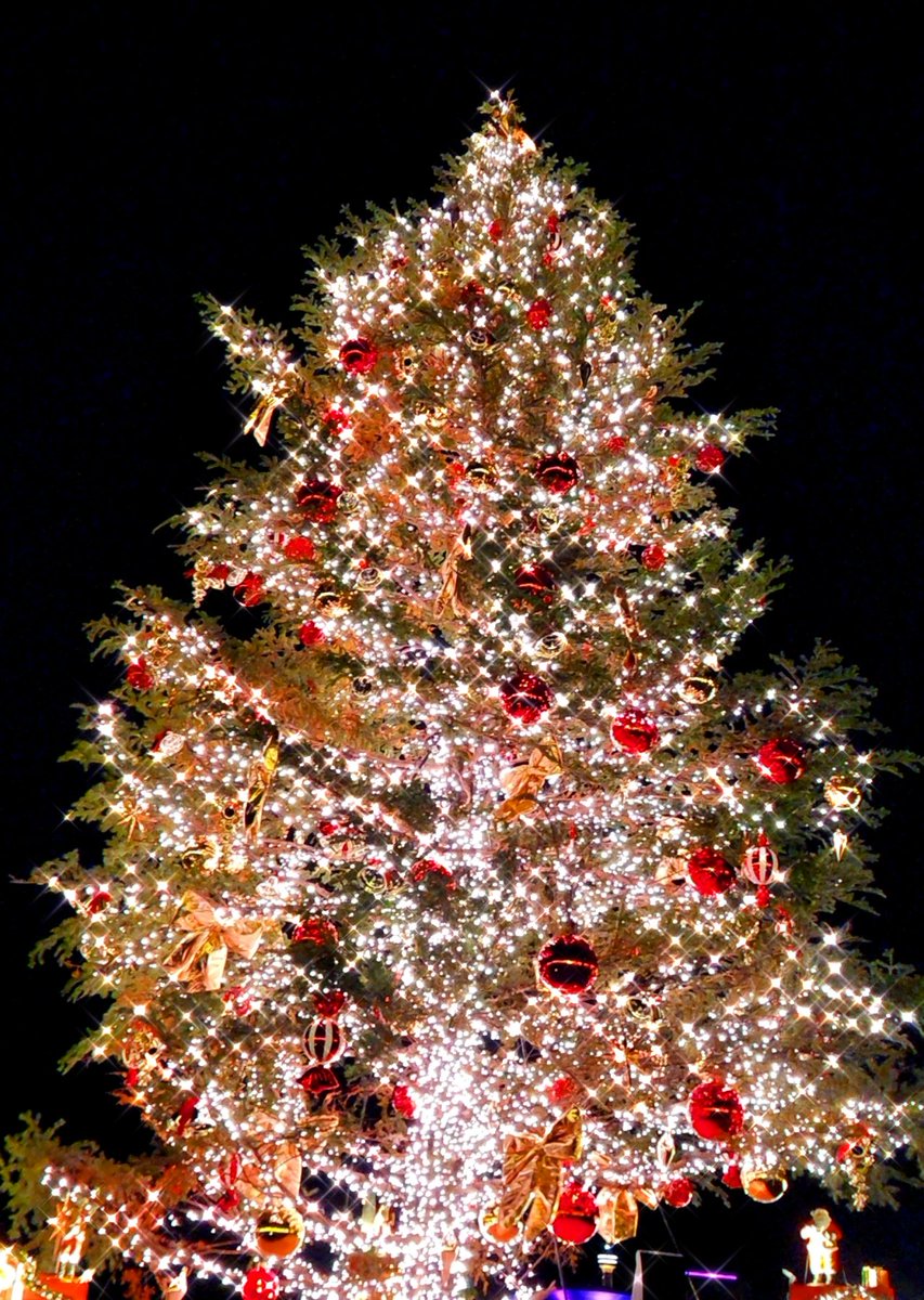 nitto0818's tweet photo. 🎄.* https://t.co/rZnWrWJXC2