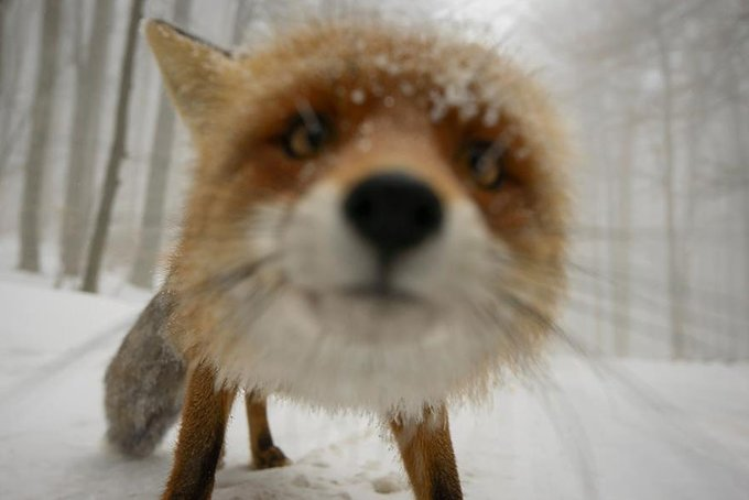 angelwumut's tweet photo. https://t.co/USCXlhyeBn