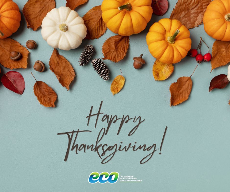We are grateful for you, all day every day... 🫶 #HappyThanksgiving from all of us at Eco! 🦃🍴🍂
