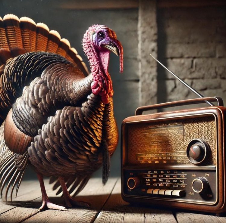 Liz Overs tweet media