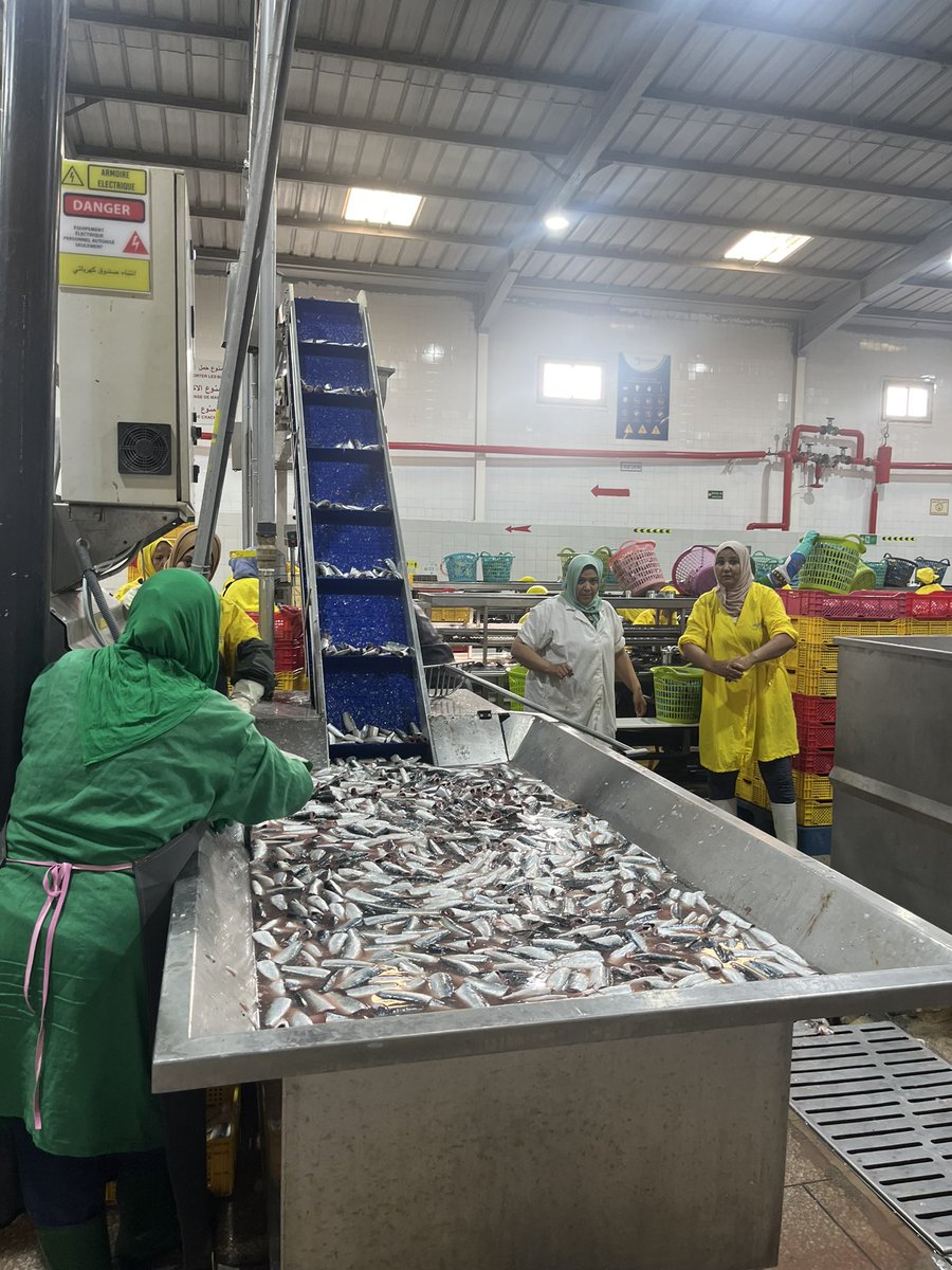 UNIDO Morocco (@unidomorocco) on Twitter photo 💡 #UNIDO, joined by <a href="/MTEDDMAROC/">MTEDD وزارة الانتقال الطاقي والتنمية المستدامة</a> and #GIZ, visited <a href="/UNIMER/">Unimer, Inc</a>, a leader in Morocco's seafood industry. UNIMER specializes in sustainable fisheries and promotes energy efficiency for a greener future🌱 #GIZ #MTEDD #MIC #AMEE #SIE #EnergyEfficiency #Sustainability #Morocco 💡 #UNIDO, joined by <a href="/MTEDDMAROC/">MTEDD وزارة الانتقال الطاقي والتنمية المستدامة</a> and #GIZ, visited <a href="/UNIMER/">Unimer, Inc</a>, a leader in Morocco's seafood industry. UNIMER specializes in sustainable fisheries and promotes energy efficiency for a greener future🌱 #GIZ #MTEDD #MIC #AMEE #SIE #EnergyEfficiency #Sustainability #Morocco