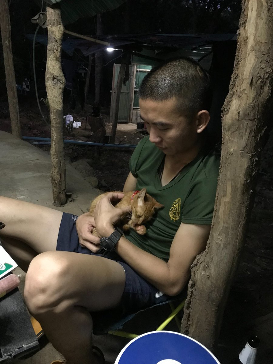 Olabanthi's tweet photo. ชีวิตค��่มันยาก ไม่รู้ว่าเราผ่านวันนั้นมาได้ยังไง

ที่มา หนึ่งในร้อย

#น้องลัคกี้
#แมวส้ม
#แมวจรสู่แมวบ้าน https://t.co/ZMRqNLIY5H