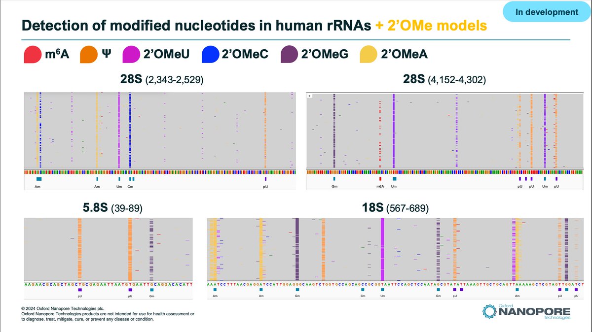 Adrien Leger (@adrienleger2) on Twitter photo We have been busing working on research models to detect all 2'Ome-RNA modified nucleotides on top of PseudoU, m6A, m5C and Inosine using <a href="/nanopore/">Oxford Nanopore</a> dRNA seq.
Preliminary results on Human #rRNA are very exciting. See🦋for more details bsky.app/profile/adrien… We have been busing working on research models to detect all 2'Ome-RNA modified nucleotides on top of PseudoU, m6A, m5C and Inosine using <a href="/nanopore/">Oxford Nanopore</a> dRNA seq.
Preliminary results on Human #rRNA are very exciting. See🦋for more details bsky.app/profile/adrien…