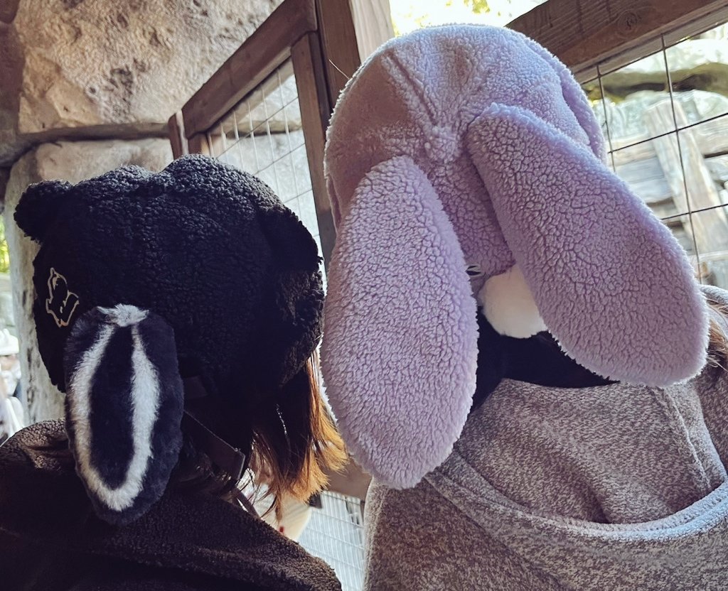cow_na's tweet photo. ディズニーシーいってきた～～❤
初めてのファンタジースプリングス楽しかった！ https://t.co/YbqwTZyHC9