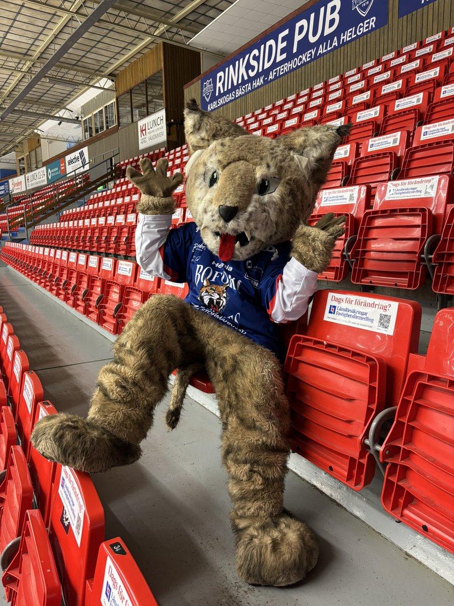 Guess Who’s Back! 🐱 

bikbiljett.se 

#BIKKarlskoga #StoltaBIKARE