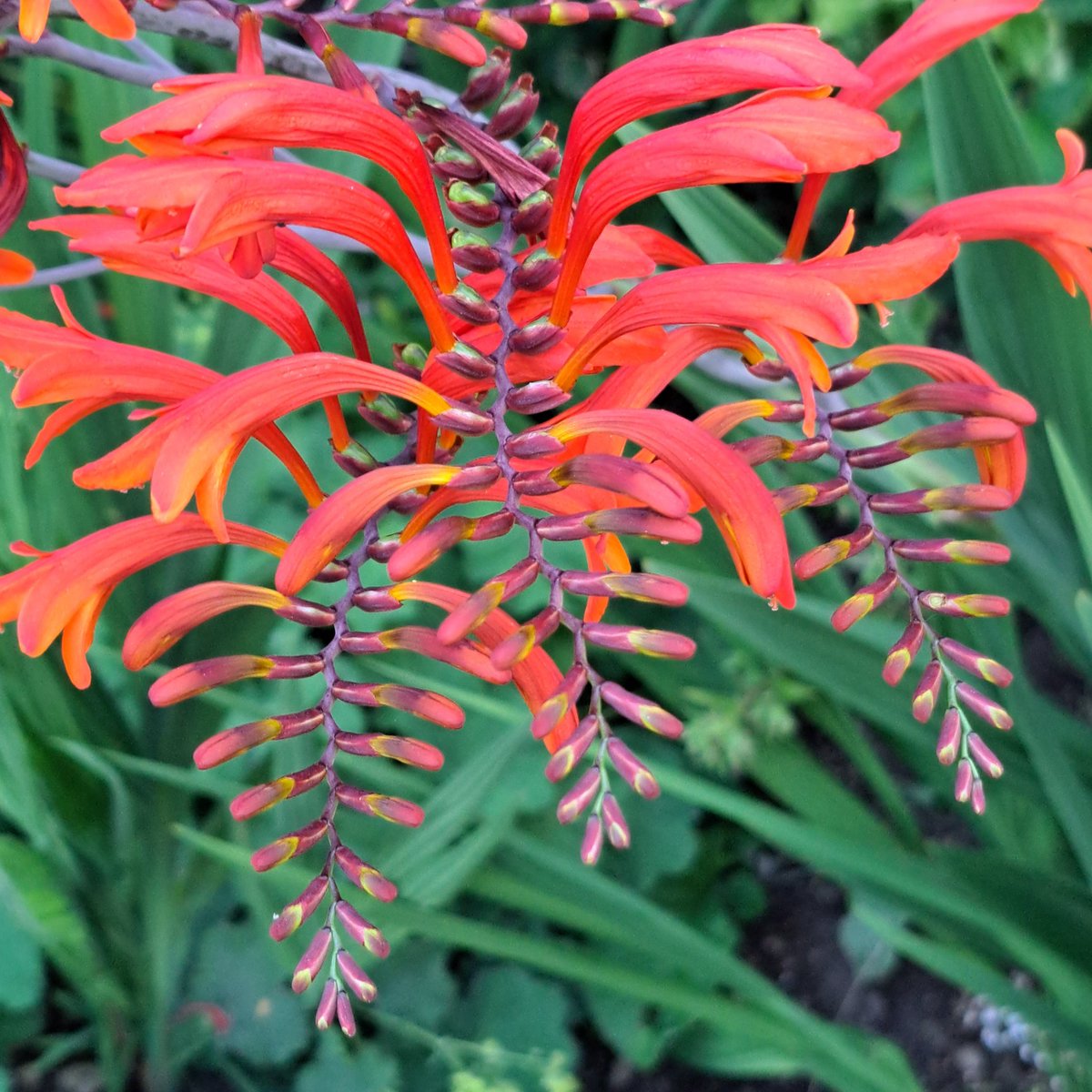 VariousPosts's tweet image. 