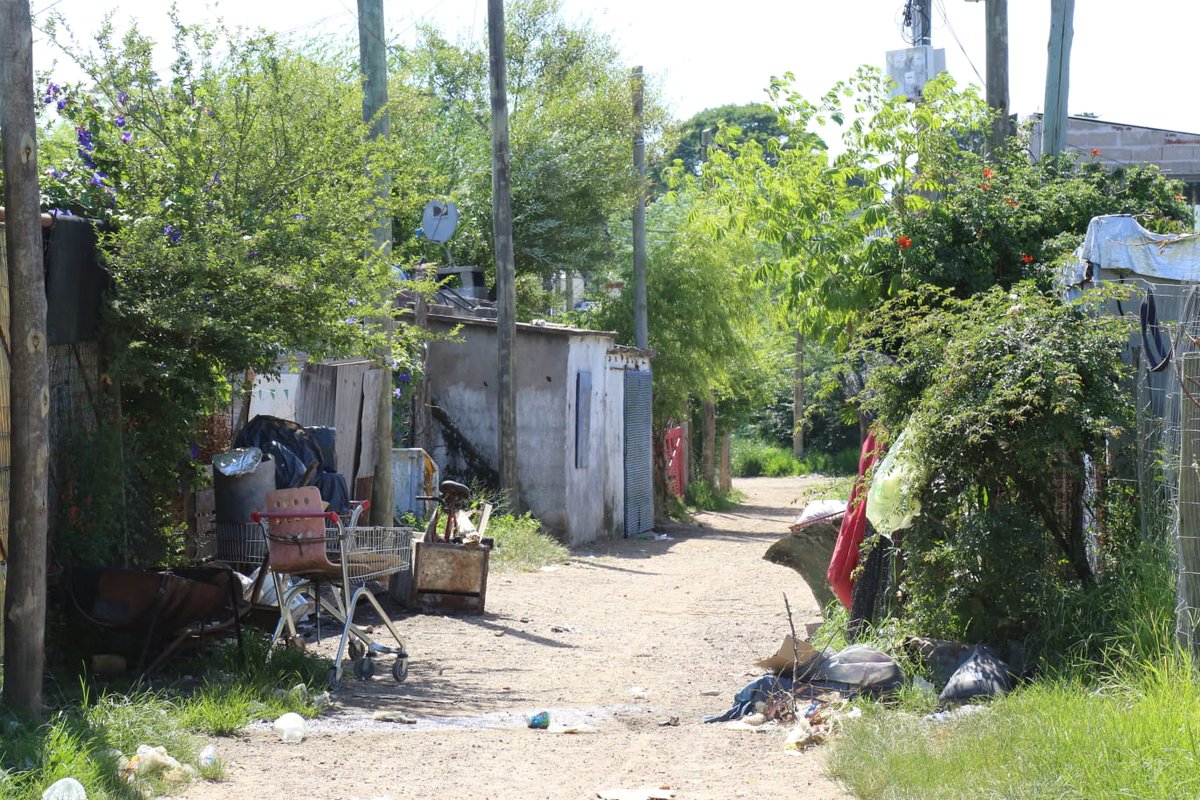 Orlando Petinatti tweet media