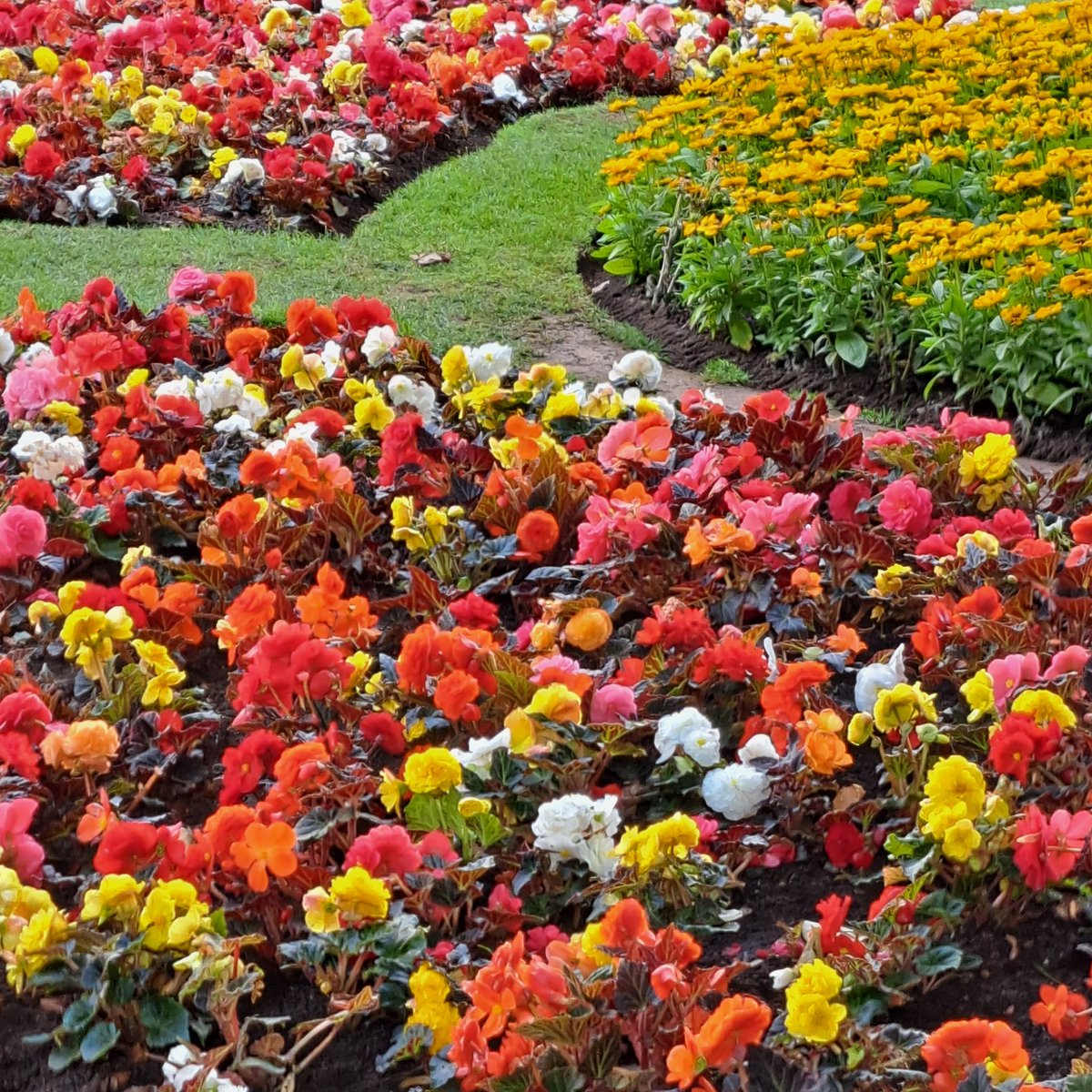 VariousPosts's tweet image. 