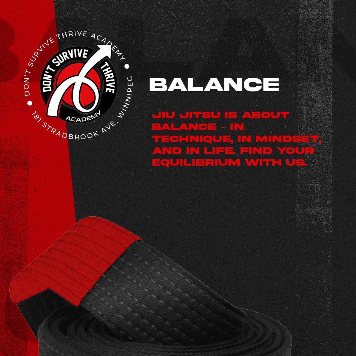 DstacademyWpg's tweet image. 