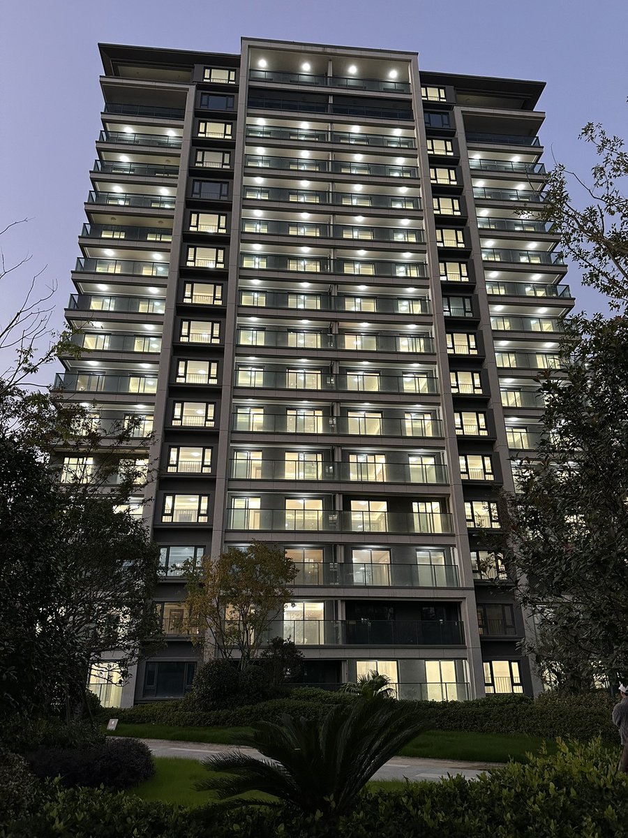 杭州尘烟 tweet media