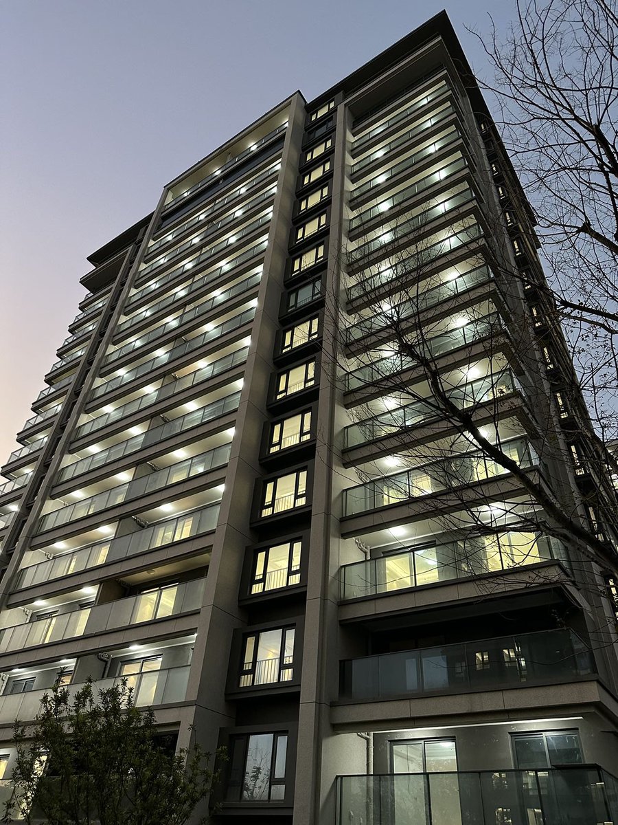 杭州尘烟 tweet media