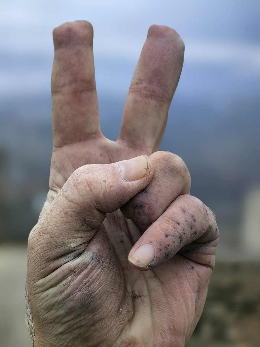 غداً ستنمو هذه الأصابع الطاهره لتضغط على الزناد الذي ينهي الوجود الاسرائلي في المنطقه ...