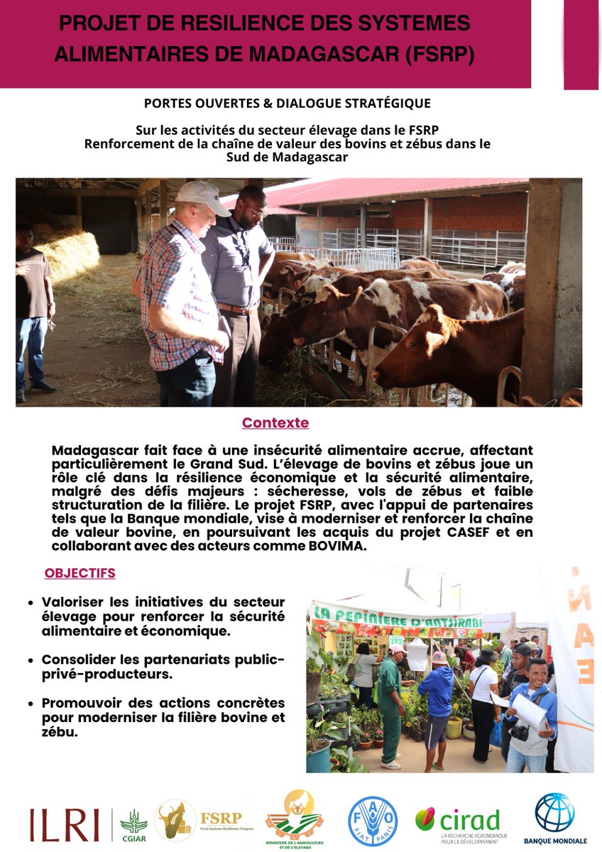 LMP_Madagascar's tweet photo. Les 27 et 28 novembre, le FSRP réunit acteurs locaux et partenaires pour dynamiser la filière élevage dans le Sud de Madagascar. 🌍🐂 Un stand est réservé au PDSEM pour valoriser ses initiatives et son rôle clé dans le secteur.

#FSRP #PDSEM #ÉlevageMadagascar #Developpement https://t.co/6XBCnSUMbM
