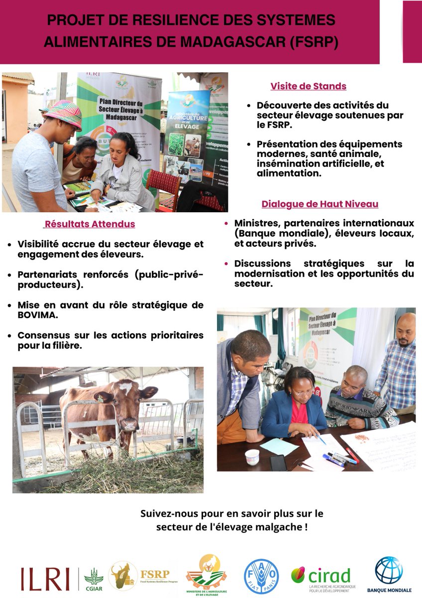 LMP_Madagascar's tweet photo. Les 27 et 28 novembre, le FSRP réunit acteurs locaux et partenaires pour dynamiser la filière élevage dans le Sud de Madagascar. 🌍🐂 Un stand est réservé au PDSEM pour valoriser ses initiatives et son rôle clé dans le secteur.

#FSRP #PDSEM #ÉlevageMadagascar #Developpement https://t.co/6XBCnSUMbM
