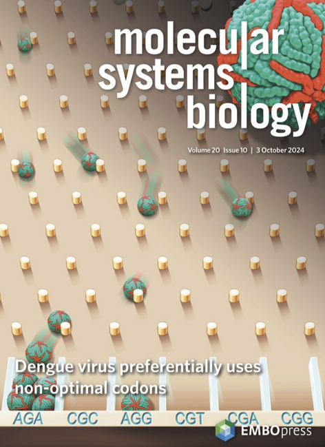 Enorme placer ver esta colaboración del <a href="/GamarnikLab/">Andrea Gamarnik</a> con <a href="/BazziniLab/">BazziniLab</a> y <a href="/virounsam/">Alvarez lab</a> sobre estrategias q evolucionó el dengue para infectar más eficientemente, q NO quiere decir infectar rápido.
Así es, el virus tiene una estrategia para infectar lentamente sin levantar la perdiz 👇
