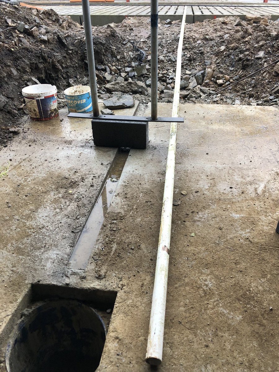 Kieran Sullivan tweet media