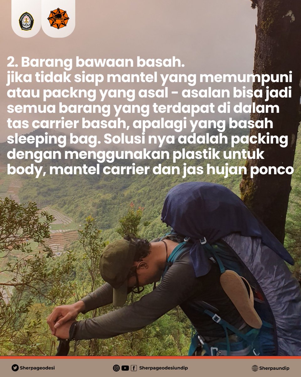 SHERPA tweet media