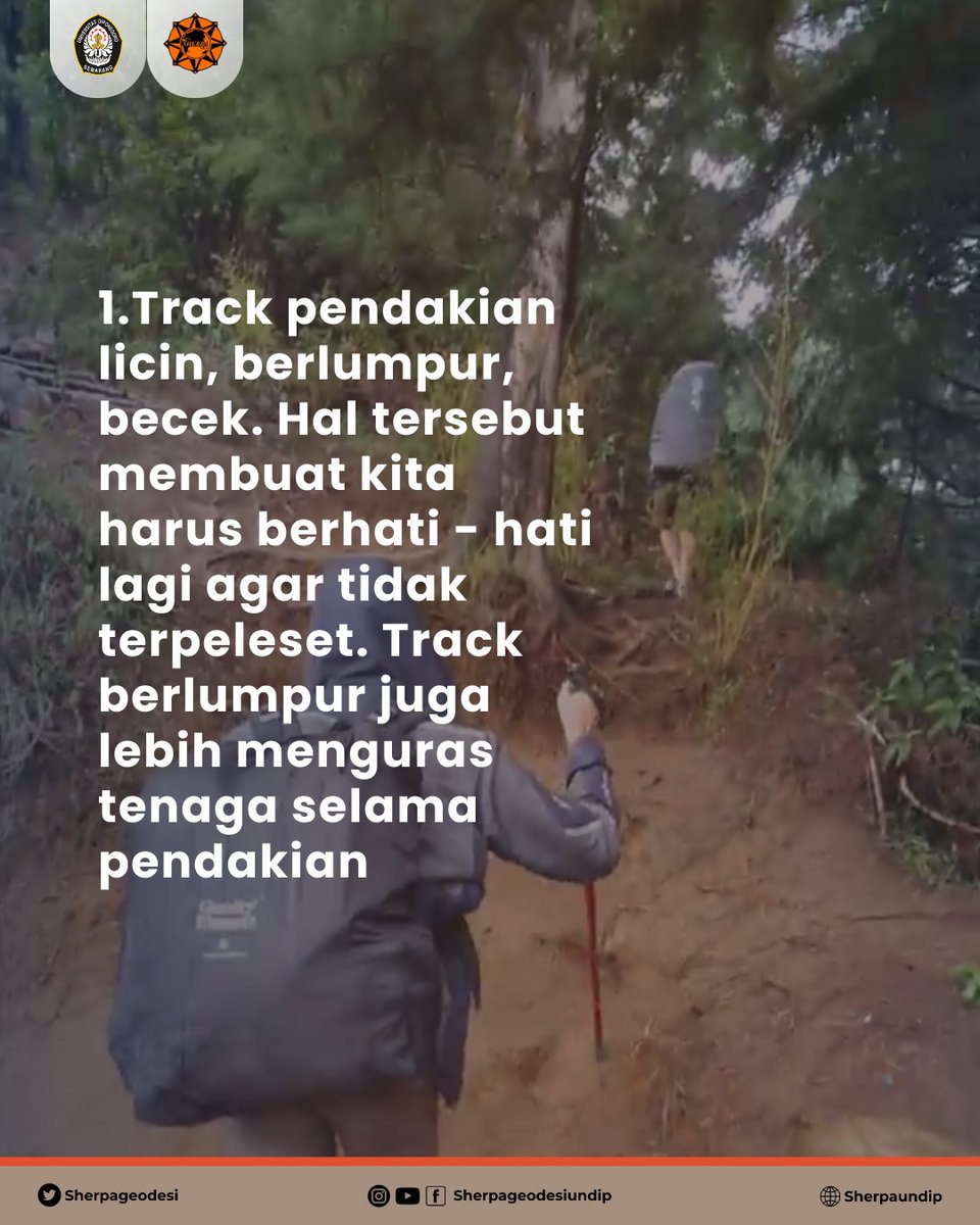 SHERPA tweet media