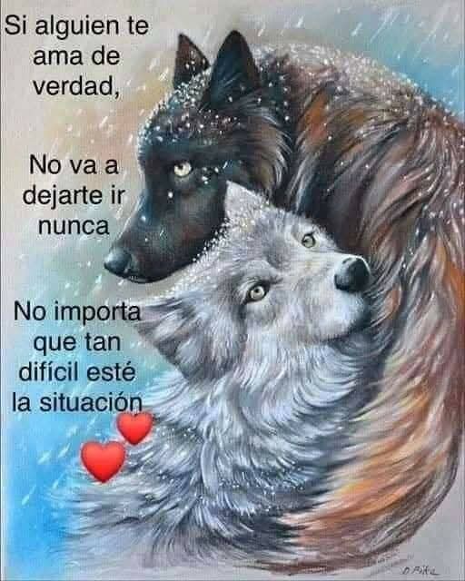FidalmaJ's tweet photo. https://t.co/gcwTCg4Rkx