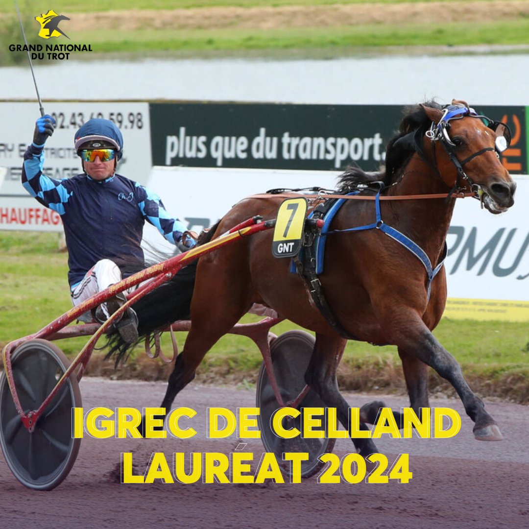 equidia's tweet photo. 🏆 𝗜𝗴𝗿𝗲𝗰 𝗱𝗲 𝗖𝗲𝗹𝗹𝗮𝗻𝗱 (@ChJariel) remporte l'édition 2024 du Grand National du Trot 🟡 suite au forfait d'Ibiki de Houelle dans la finale ce dimanche. https://t.co/PD4Jt2yeHs