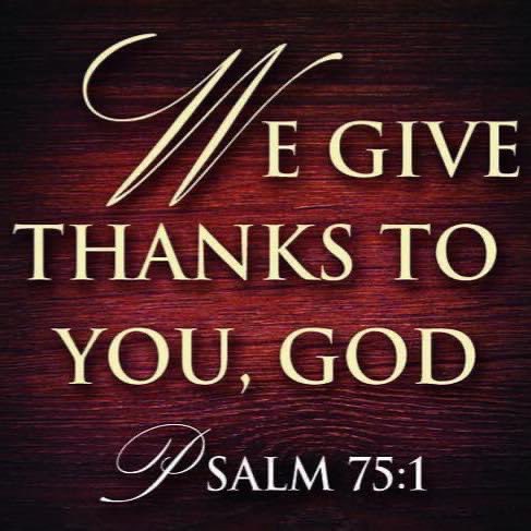 STEVE TARVIN tweet media