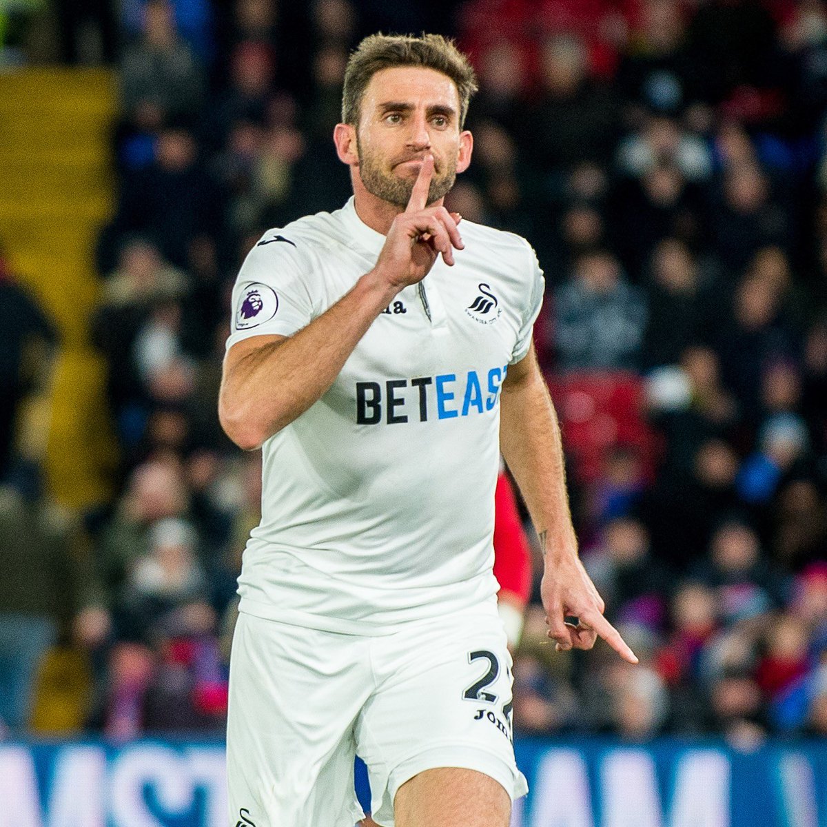 swanstrust's tweet image. Happy birthday Angel Rangel 🎉🥳🎂

#YJB #JackArmy #Swansea

📸: @athenapics