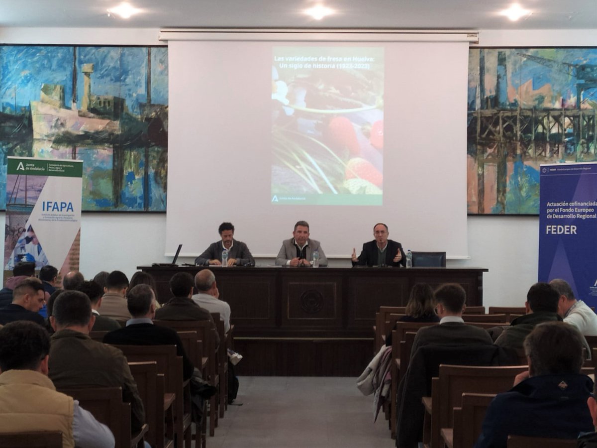 IfapaJunta's tweet photo. El #IFAPA presenta en #Huelva los resultados de los estudios de #fertirrigación en #fresa, #frambuesa y #arándano 💧🫐

📚También se ha presentado el #libro “Las variedades de fresa en Huelva: un siglo de historia (1923-2023)”🍓

🌐Lee la #noticia en: https://t.co/n6EsBGPraV https://t.co/NftZegLt1A