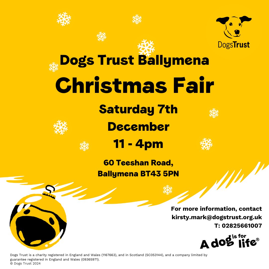 3 month old Lurcher Levi is super excited for our Christmas Fair! He has 9 more days of best behaviour until Santa Paws arrives and he can ask him for his biggest wish… a #ForeverHome 💛🎅🏼

Levi’s profile 👉 dogstrust.org.uk/rehoming/dogs/…

@dogstrust #ADIFL #Santa