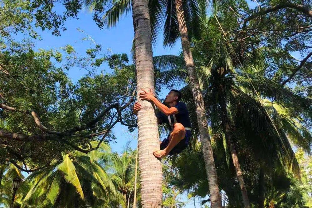海南队选手罗军稳稳拿下第十二届全国少数民族传统体育运动会攀椰竞速男子冠军。
