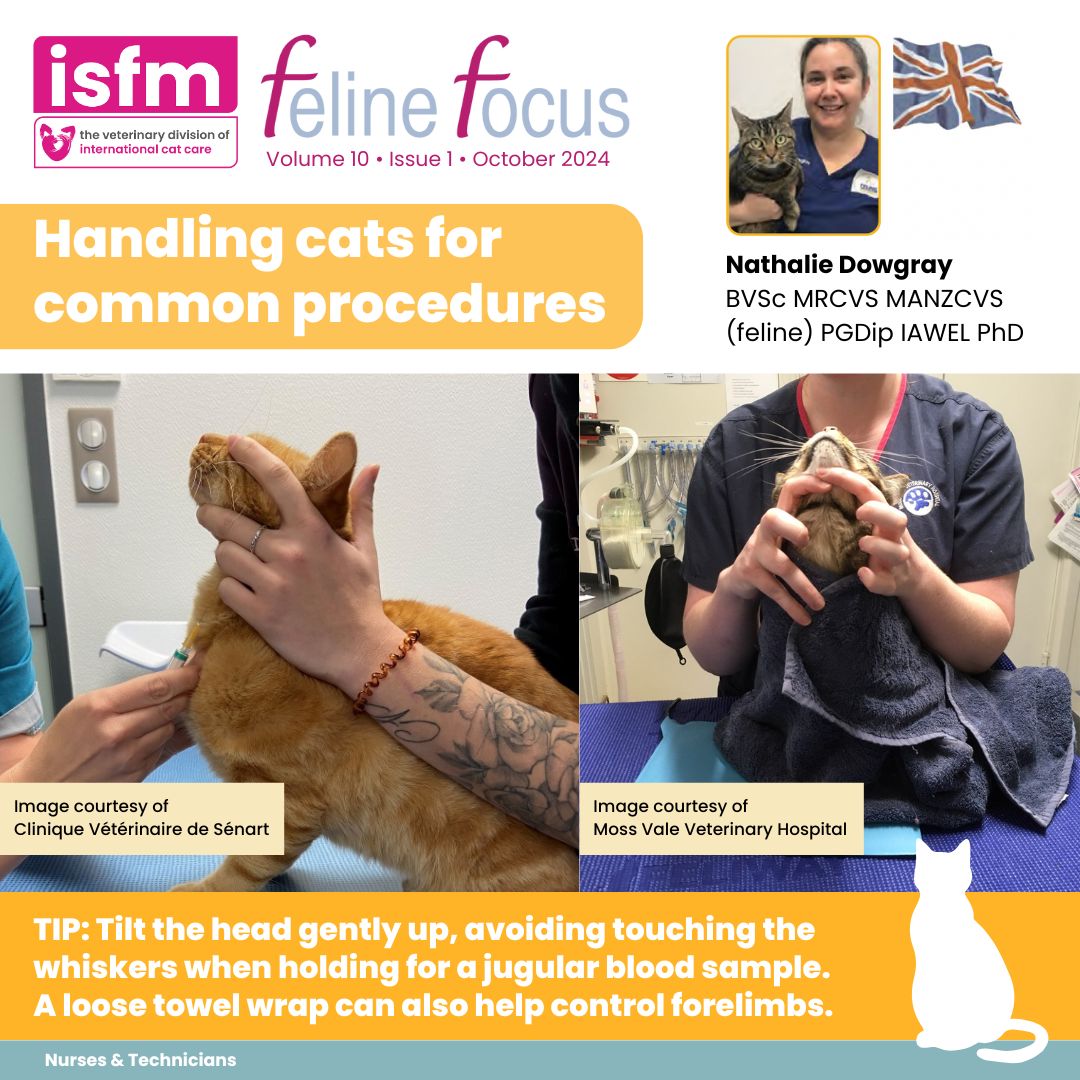 Practising hands free or minimal handling with your feline patients? 🫳🐈 In #FelineFocus, Head of ISFM Nathalie Dowgray talks us through cat friendly handling techniques for common procedures

📖 Log in portal.icatcare.org select Forums &amp; Library, then Resource Library