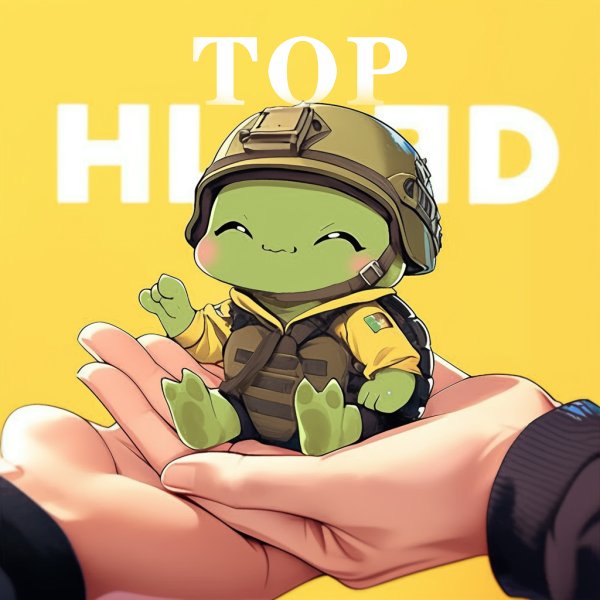 $Top is still a baby in the market! 

It needs our support to grow. 🤝

Let’s build together and create a solid foundation for the future!

Jeets out chads in ✊✊✊

#BUIDL