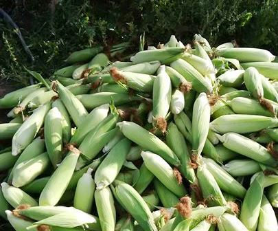 Agribusiness Media tweet media