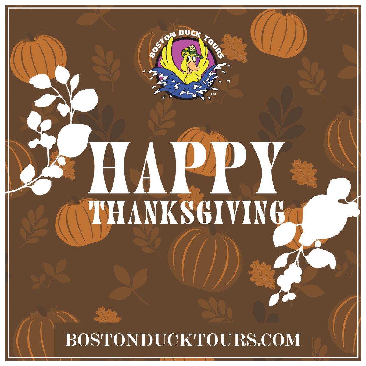 Happy Thanksgiving! We are extremely thankful for our Cast and Crew as well as all of our amazing Guests!