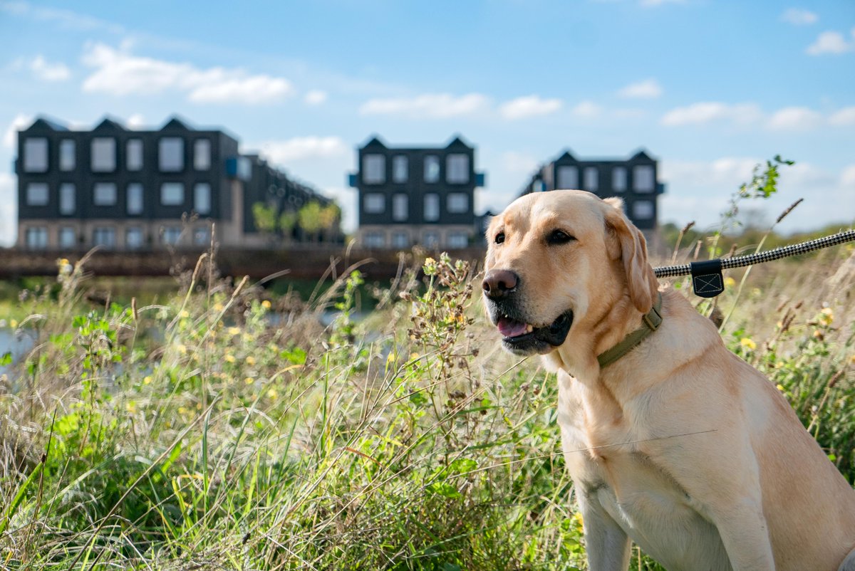 Did you know that over 3,000 residents have already made #Northstowe their home? ✅

Interested in influencing the future of Northstowe?

Discover current land opportunities here 👇  

northstowe.com/land-opportuni…