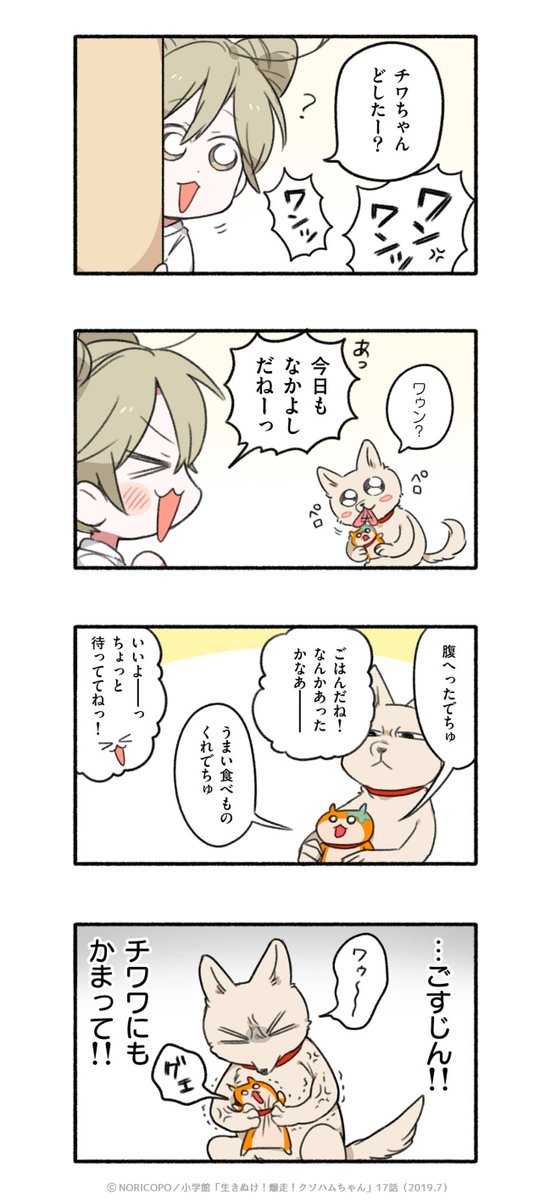 第17話「今日の犬飼家」2/5 
