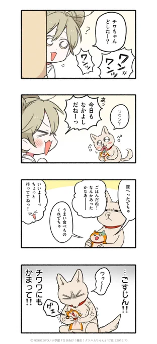 第17話「今日の犬飼家」2/5 
