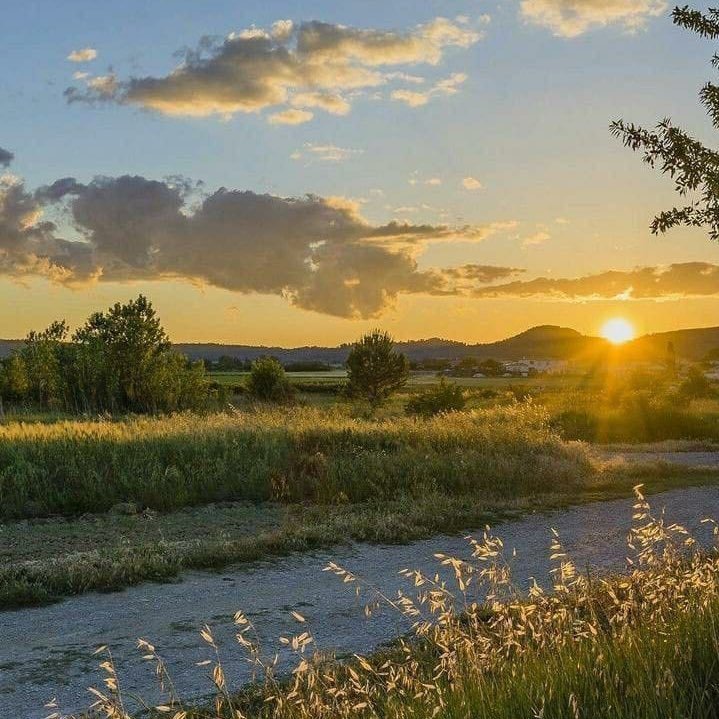 Blessing for a beautiful day 

Good evening x