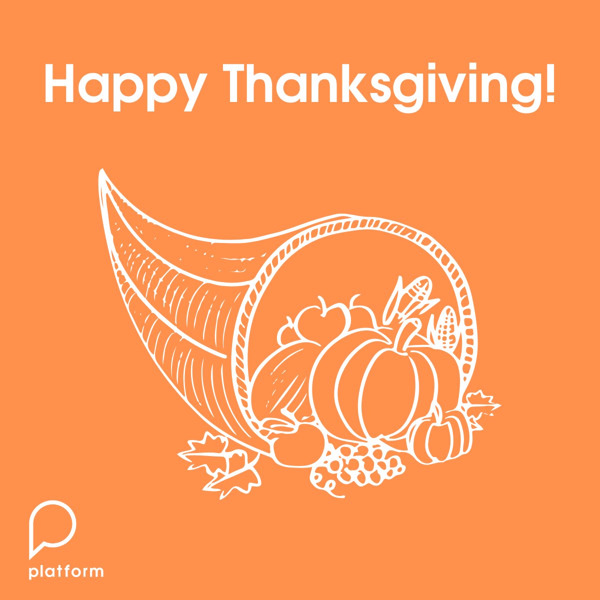 Happy Thanksgiving from all of us at Platform! 🇺🇸