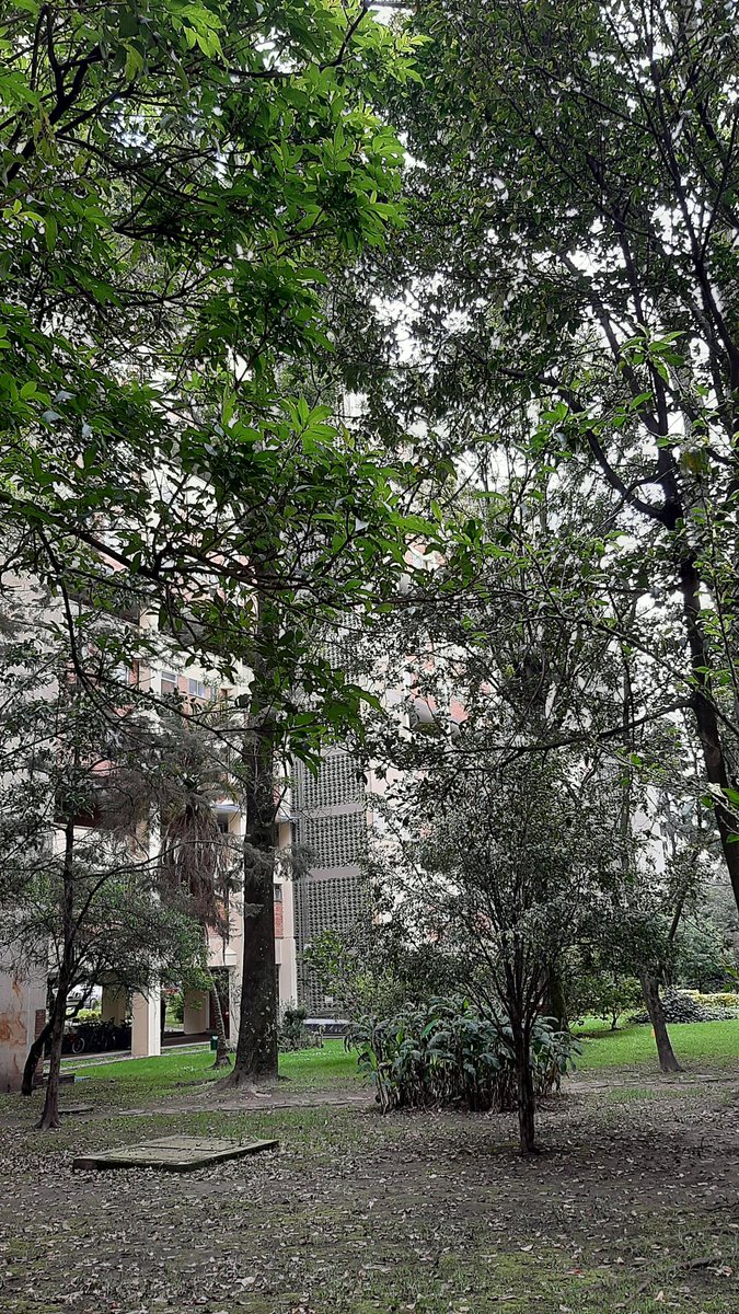 mcgalvism's tweet photo. Centro Antonio Nariño! https://t.co/rvOH9w5Ujm