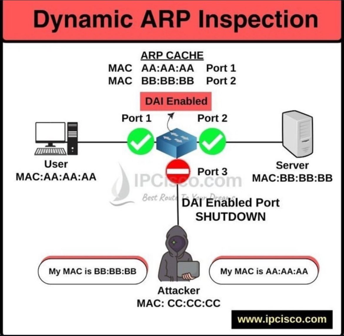 ip_cisco's tweet image. Dynamic ARP Inspection! | IPCisco
.
✨✨🔥: ipcisco.com/courses/
.
Please Retweet..:)
.
#network #networking #networksec