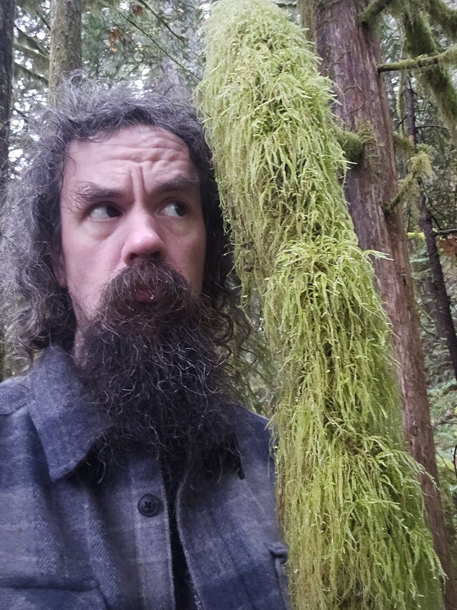 Lewis E. Fur tweet media