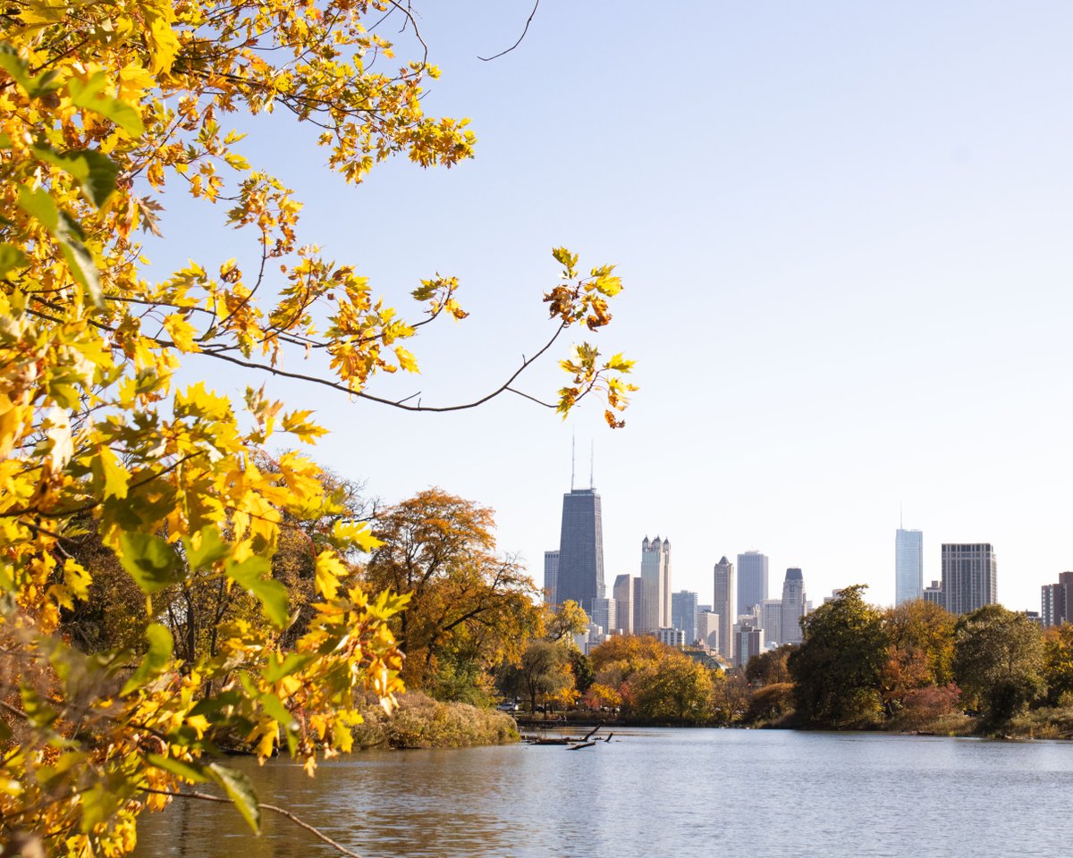 Lincoln Park Conservancy tweet media