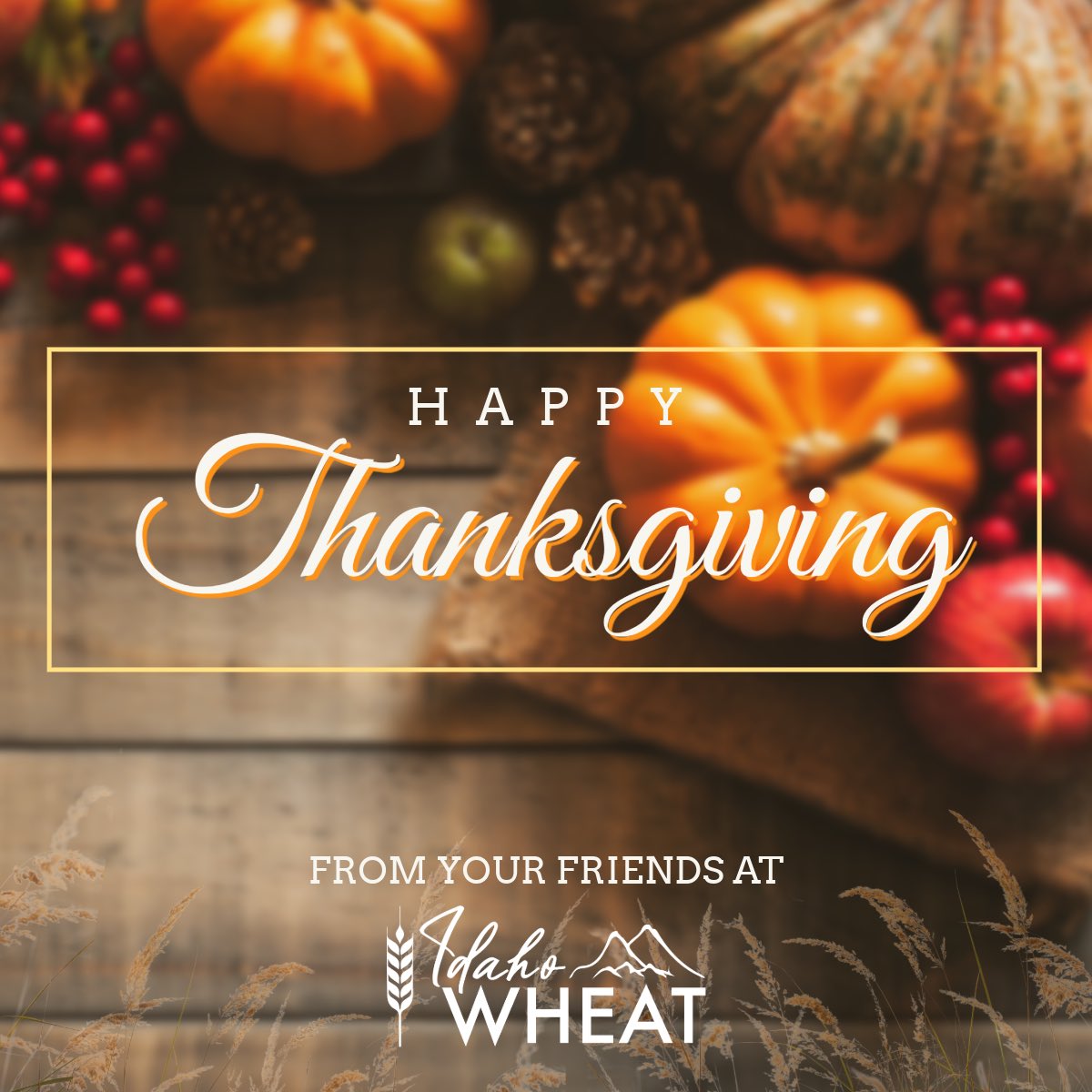 We are thankful for all of our farmers today and everyday and their hard work to provide food for the world. All of us at Idaho Wheat wish you and your families a Happy Thanksgivng.🍁🌾