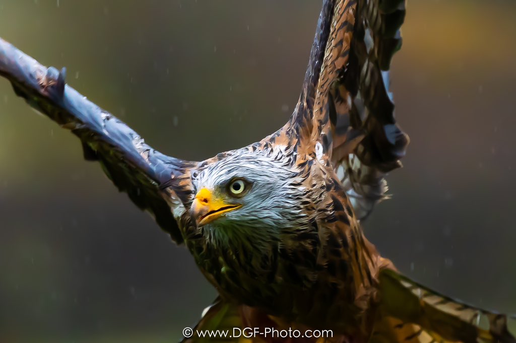 David Sapsford 💙 🇺🇦 (@davidsapsford) on Twitter photo 