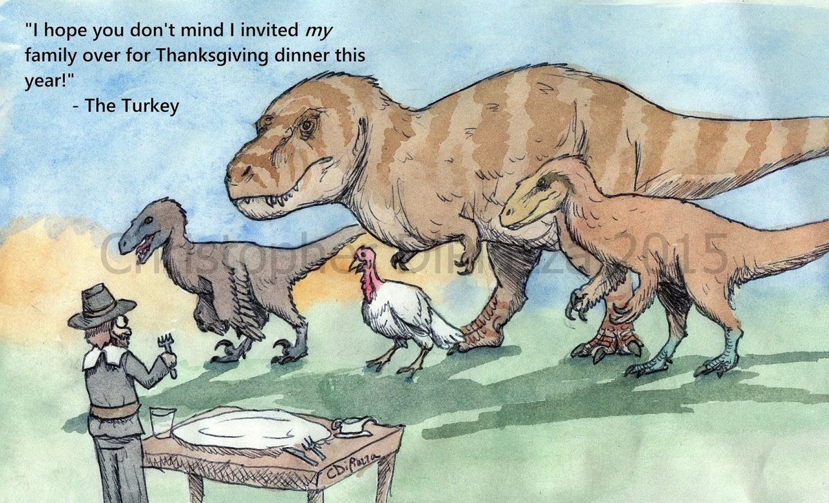 Taylor McCoy 🦖 tweet media