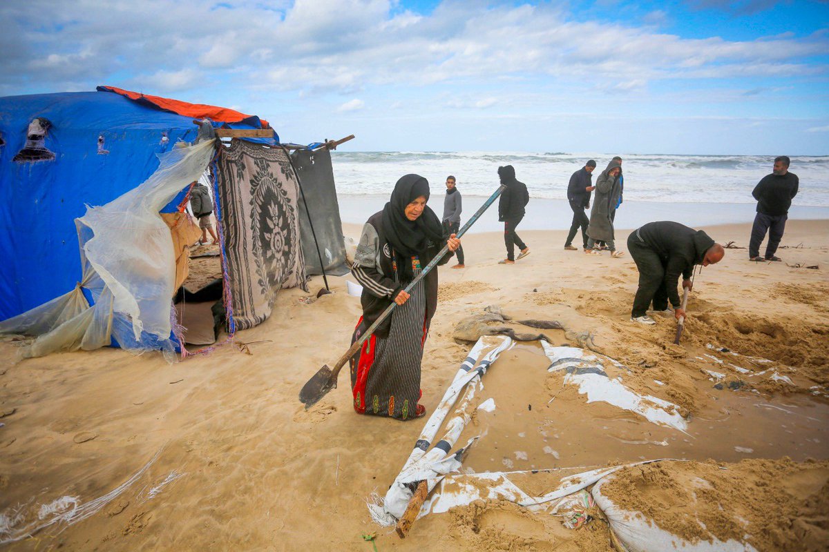 Raquel_Marti_'s tweet photo. ➡️ Se estima que las fuertes lluvias han afectado a más de 1,6 millones de personas que viven en refugios improvisados ​​en toda la Franja de Gaza, y que las inundaciones y el aumento del nivel del mar han afectado especialmente a 7.000 familias desplazadas que viven en tiendas de campaña a lo largo de la costa en el suroeste de Gaza. Miles de tiendas de campaña han quedado inundadas, se han destruido sus pertenencias y han dañado los refugios. 

➡️ Las duras temperaturas invernales, agravadas por las fuertes lluvias y el aumento de las mareas, están agravando aún más la acumulación de aguas residuales, la propagación de enfermedades y el riesgo de derrumbe de los edificios dañados en los que muchas familias han buscado refugio.